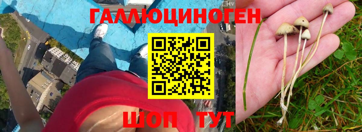 Псилоцибиновые грибы мицелий  Вход с VPN  Россошь 